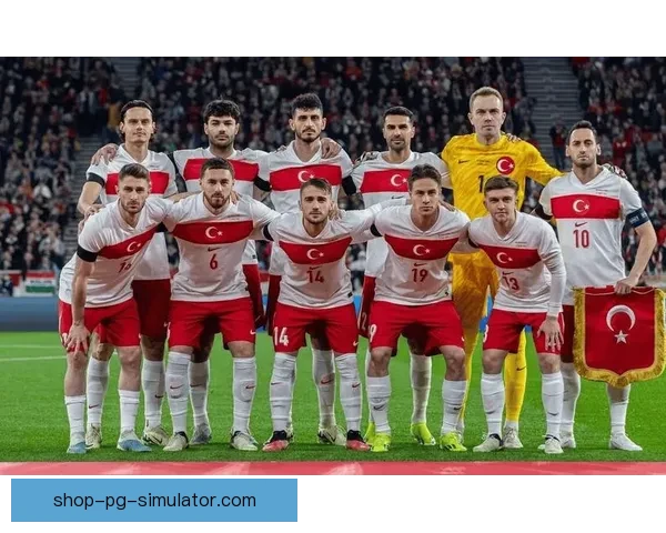 2024欧洲杯最佳阵容出炉 西班牙五将入选引热议